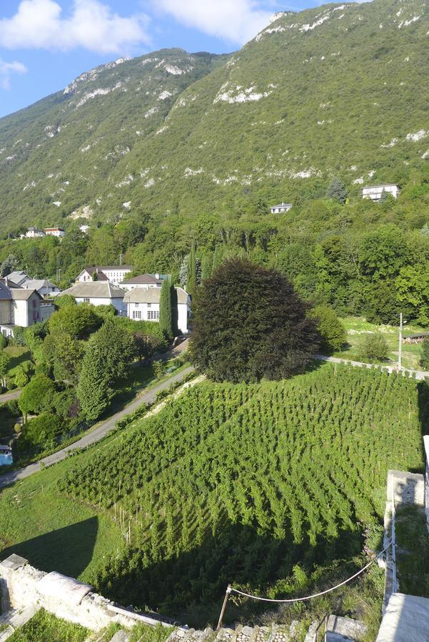 Chateau De Bourdeau Exterior photo