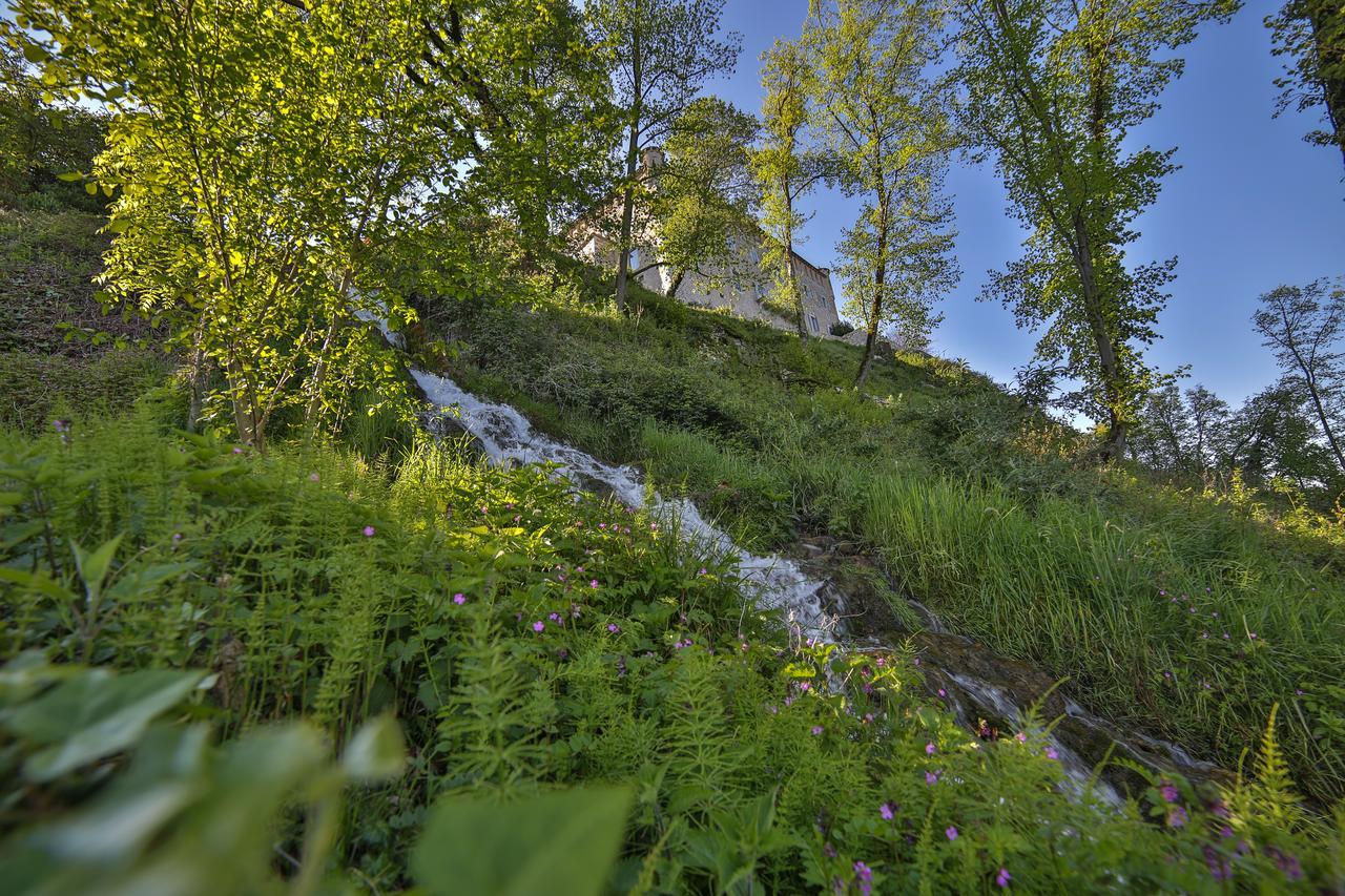 Chateau De Bourdeau Exterior photo